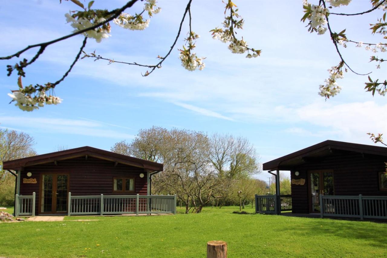 Wall Eden Farm - Luxury Log Cabins And Glamping Highbridge Luaran gambar