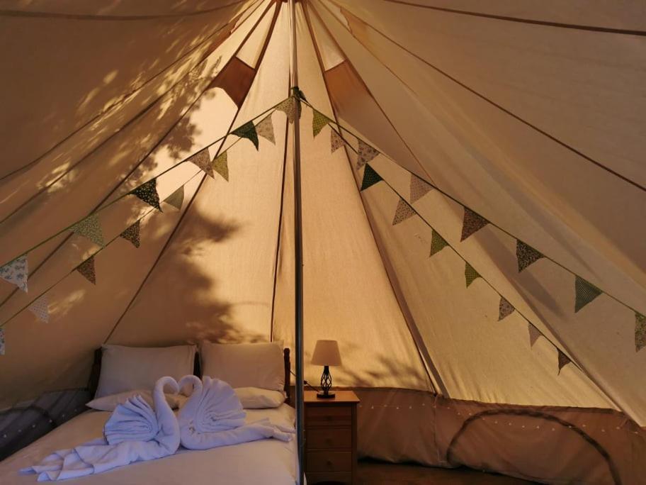 Wall Eden Farm - Luxury Log Cabins And Glamping Highbridge Luaran gambar