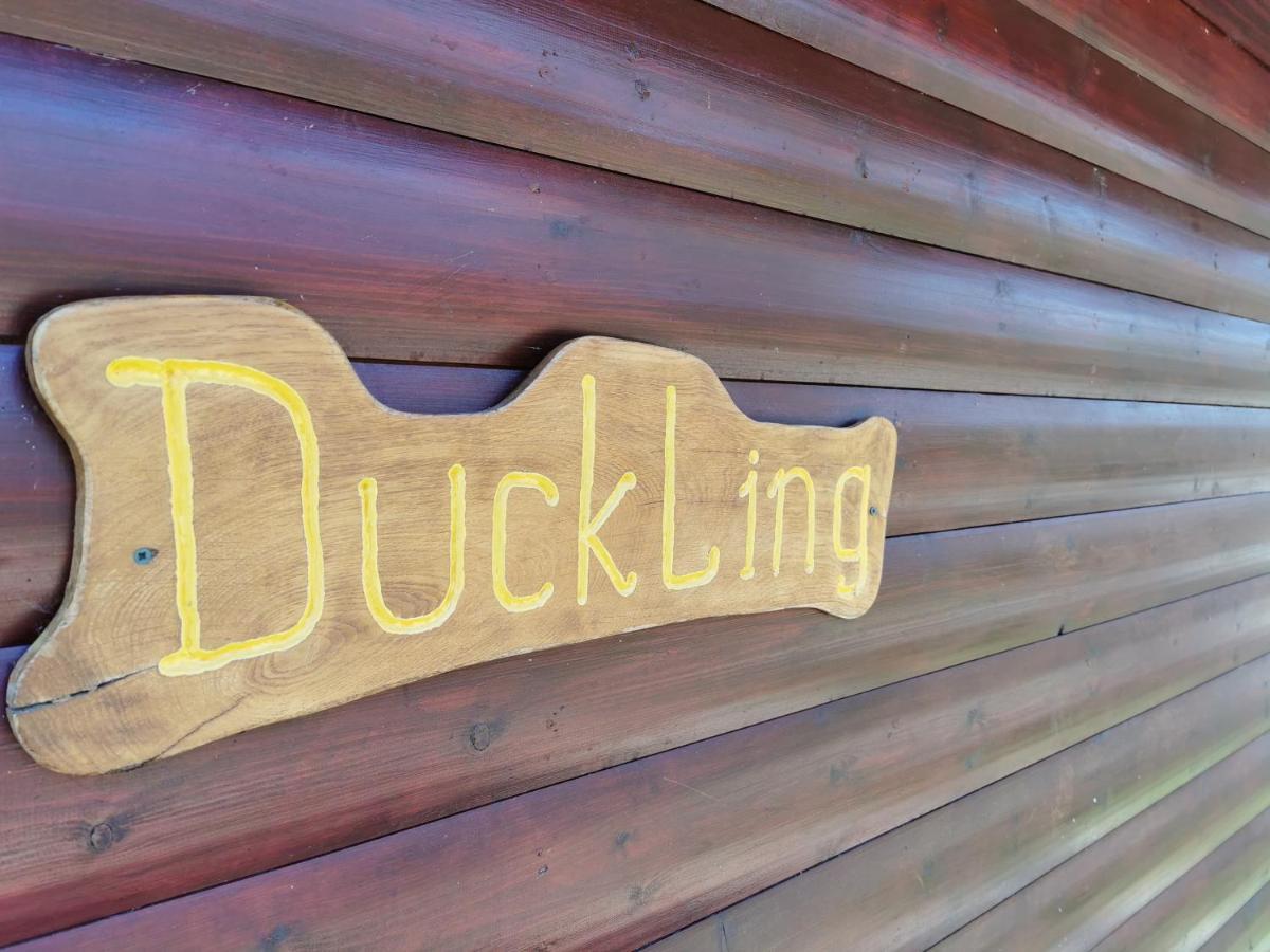 Wall Eden Farm - Luxury Log Cabins And Glamping Highbridge Luaran gambar