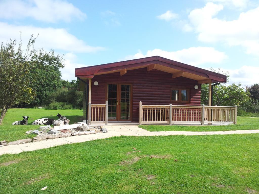 Wall Eden Farm - Luxury Log Cabins And Glamping Highbridge Bilik gambar